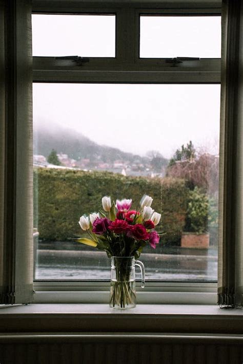 5 Beautiful Flowers On Window Sill Outside You Cant Afford To Miss