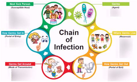 Infection Control Chain Of Infection Diagram Quizlet