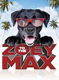 Prime Video: Zoey to the Max