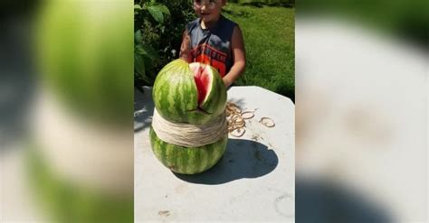 Crazy Watermelon Experiment Goes Wrong Sharedots