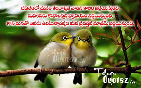 Lovely Love Birds Images With Quotes In Telugu Thousands Of