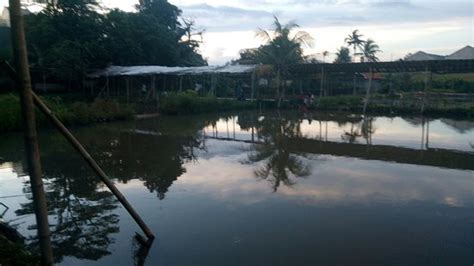 Desa Sawah Restoran And Villa Bogor Indonésie Tarifs 2021 Mis à Jour
