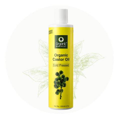 Buy Organic Castor Oil For Hair And Skin Online In India