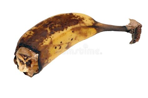 Rotten Banana Stock Image Image Of Stem Fruit Nutrition 420215