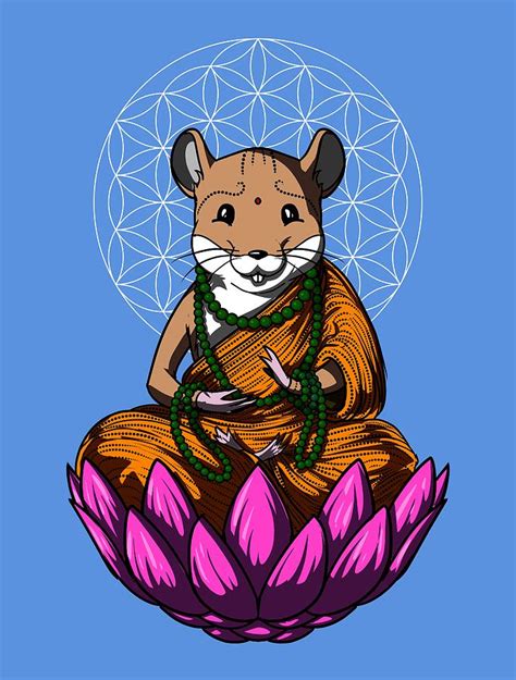 Hamster Zen Yoga Pet Digital Art By Nikolay Todorov Fine Art America