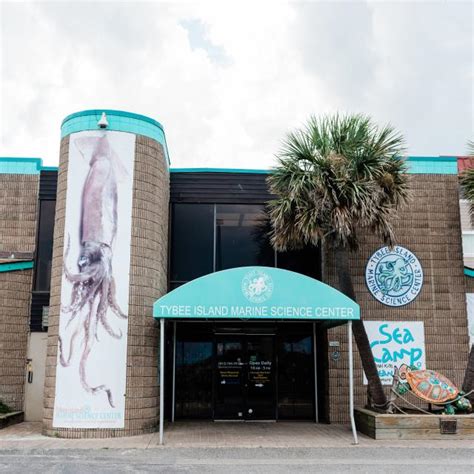 Why You Need To Visit This Marine Science Exhibit Visit Tybee Island