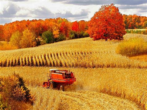 Over The Hill Harvest Scenery Fields Of Gold