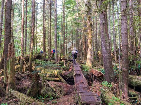 West Coast Trail Pacific Rim National Park Reserve Mb Guiding