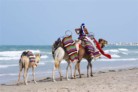 Tunesische Insel Djerba Alle Tipps And Infos ⏩ Urlaubsguru