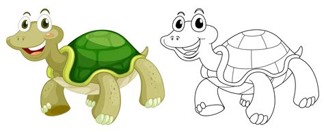Animal Outline For Cute Turtle Download Free Vectors