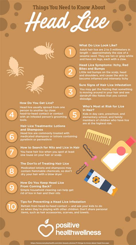 11 Things You Need To Know About Head Lice Infographic
