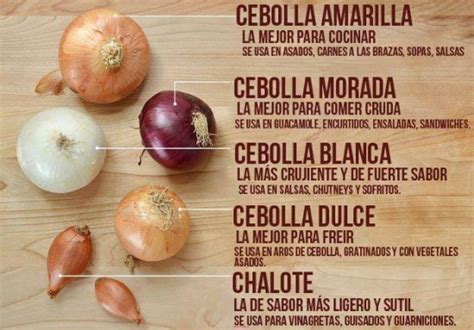 Variedades de cebolla Infografía con sus características CocinaChic