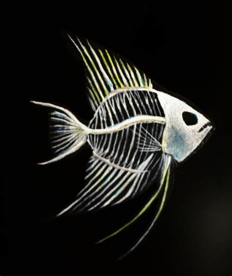 Fish Skeleton By Bridgette Art On Deviantart