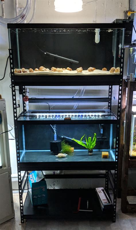 How To Make Shelves In An Aquarium Aquarium Views