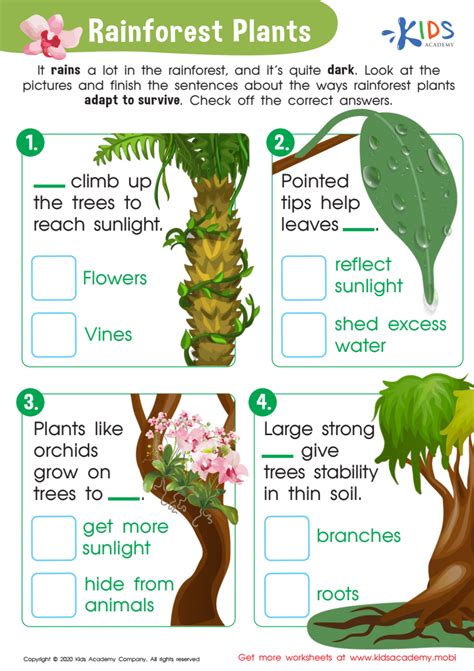 Free Rainforest Plants Worksheet Worksheet For Kids