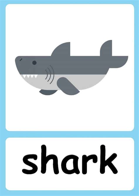 Sea Animal Flashcards Free Jungle Background