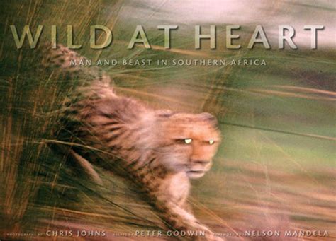 Wild At Heart Book - Book Review Of Wild At Heart By K A Tucker She