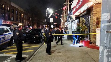 Nypd Woman And Dog Killed In Bed Stuy Shooting