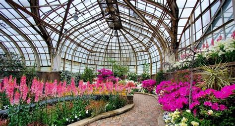 Lincoln Park Conservatory Will Bring Spring Flower Show Pretty In Pink