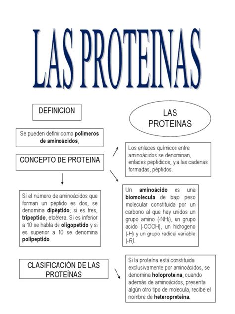 Importancia De Las Proteinas En La Nutricion Mapa Conceptual De Las