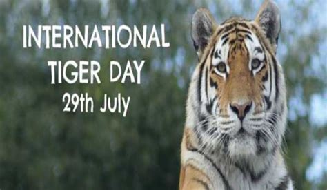 International tiger day poster drawing easy. International Tiger Day 2020: History, Significance ...