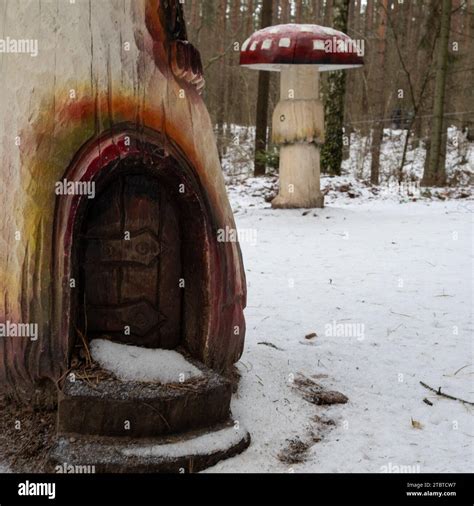 Fungal artistry hi-res stock photography and images - Alamy