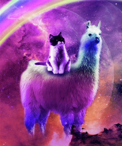 Kitty Cat Riding On Rainbow Llama In Space Digital Art By Random Galaxy