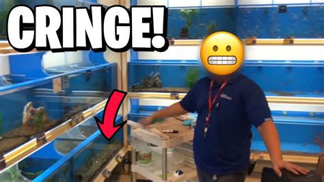 Petsmart Fish Are Not What You Think Youtube