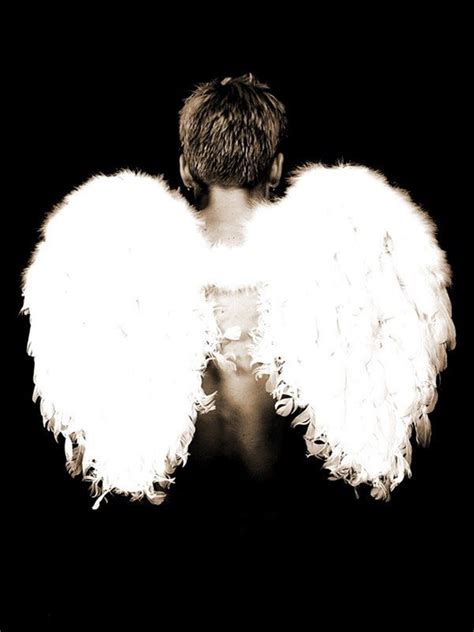 Angel Boy Free Photo Download Freeimages