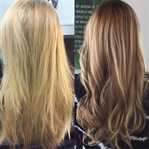 Before And After Blonde To Brunette Highlights