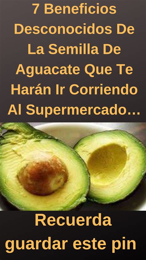 Beneficios Desconocidos De La Semilla De Aguacate Que Te Har N Ir