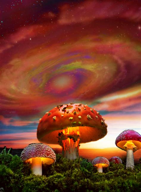 Weirdcore Mushroom Wallpaper