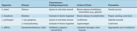 Gram Positive Rods Basicmedical Key