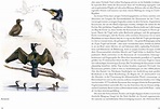 Schräge Vögel | Uwe Westphal | Hardcover | ISBN 978-3-89566-342-0