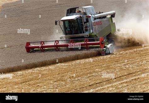 Harvesting Harvest Hi Res Stock Photography And Images Alamy