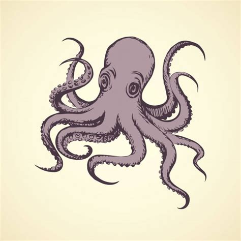 Octopus Vector Drawing — Stock Vector © Marinka 144792931