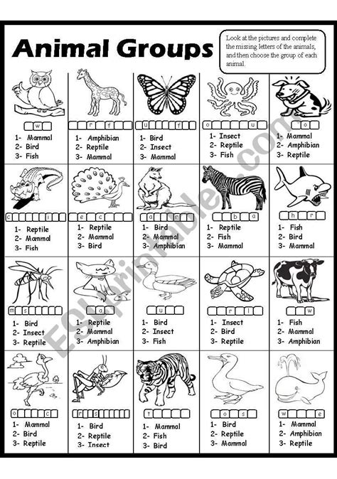 Animal Groups 2 Esl Worksheet By Amna 107 Missing Letter Worksheets