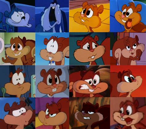 Animaniacs More Skippy Squirrel Faces By The Acorn Bunch On Deviantart