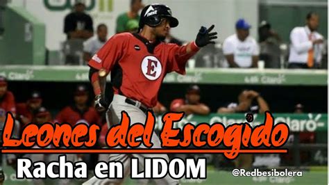 El Secreto De Los Leones Del Escogido Equipo Del Momento Con Su Racha