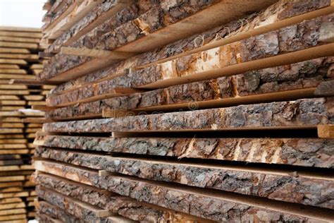 Wooden Planks Air Drying Timber Stack Stock Image Image Of Roofer