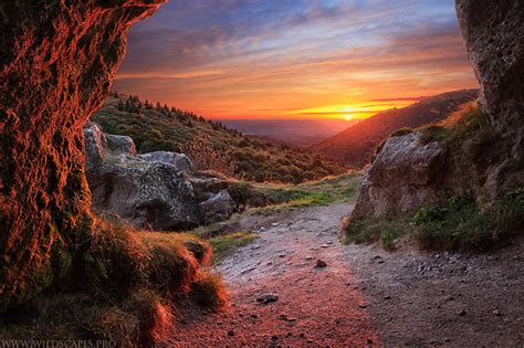 From The Cave By Maximecourty On Deviantart