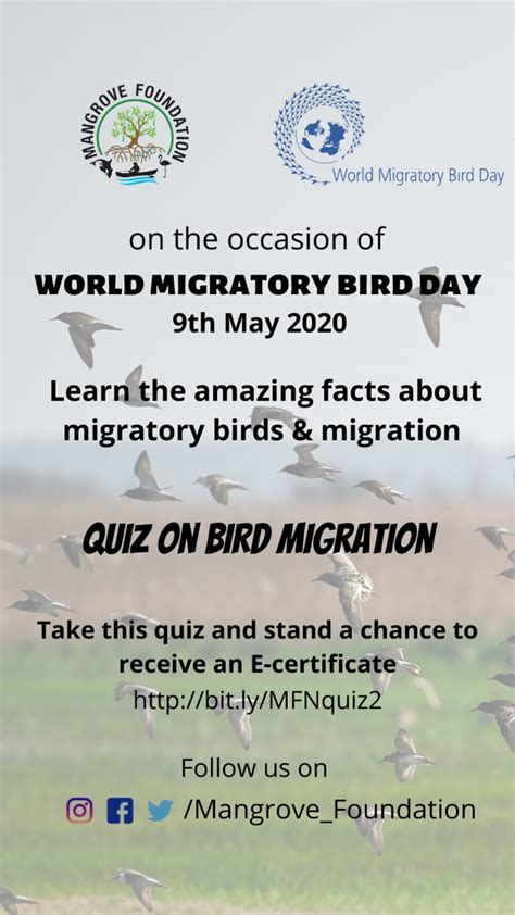 World Migratory Bird Day Quiz World Migratory Bird Day