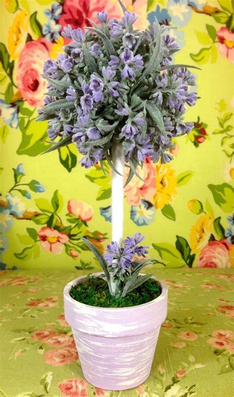 Apr 26, 2018 · we spotted a pretty lavender topiary at costco, and if you snatched one up too, here's how to take care of it. NWT 11" POTTED MOSS LAVENDER FLOWER FLORAL GREENERY ...