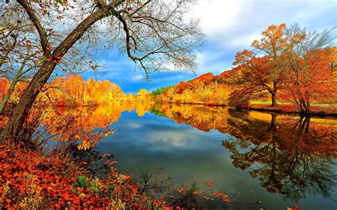 Peaceful Autumn Scene Wallpapers Wallpaper Cave