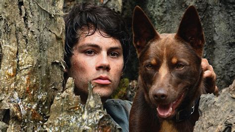 Love and monsters trailer (2020) humans vs monsters movie. Why The Dog In Love And Monsters Is More Important Than ...