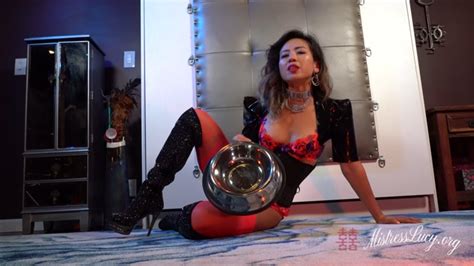 Mistress Lucy Khan JOI Slave Training For Piss Sluts Porno Videos Hub