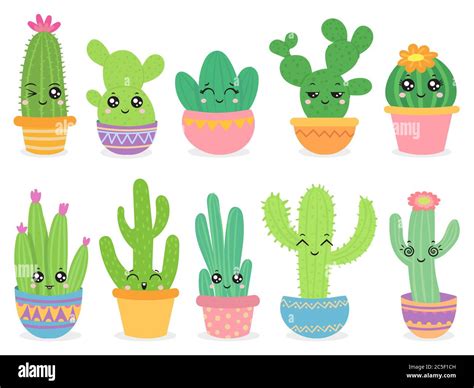 Cactus De Dibujos Animados Cute Suculento O Planta De Cactus Con Cara