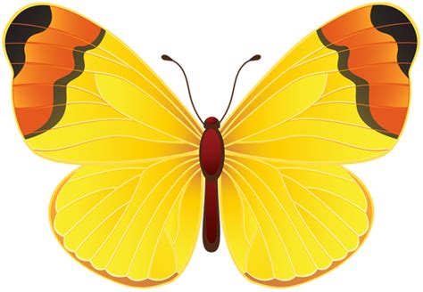Butterfly Clip Art Butterfly Drawing Butterfly Pictures Butterfly