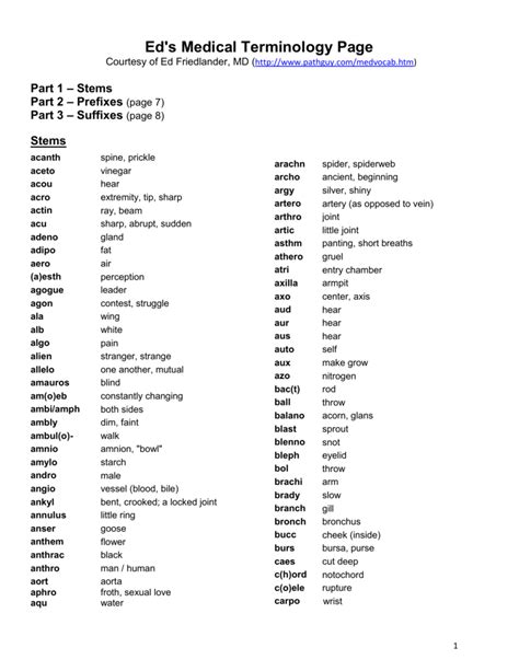 Medical Terminology Prefixes Suffixes Root Words Pdf 57 Off