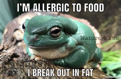 Pin By Scott And Tie Eipper Nature Fo On Animal Memes And Reptile Memes